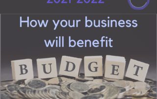 Budget 2021-2022 business